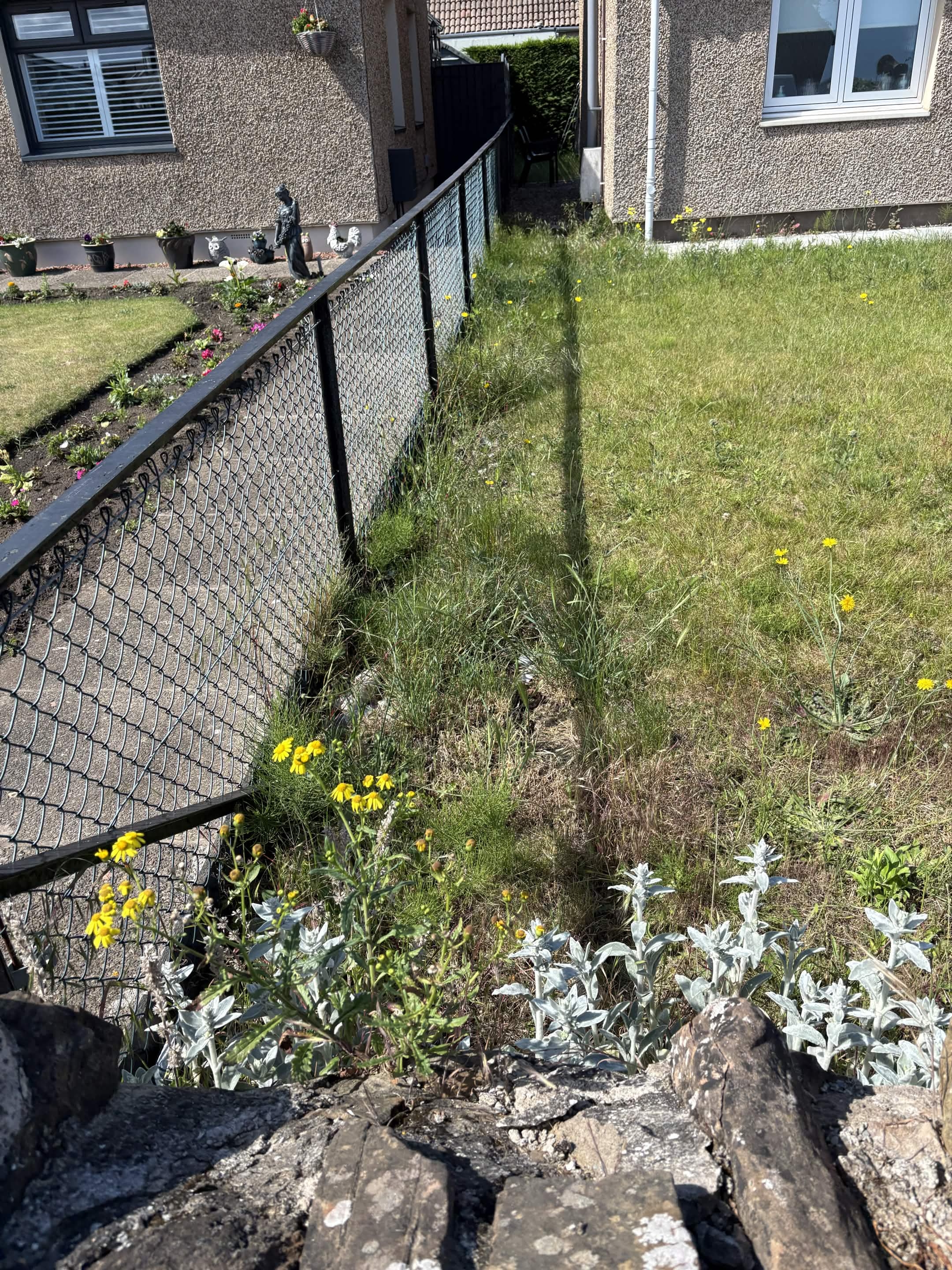 Before garden improvement work